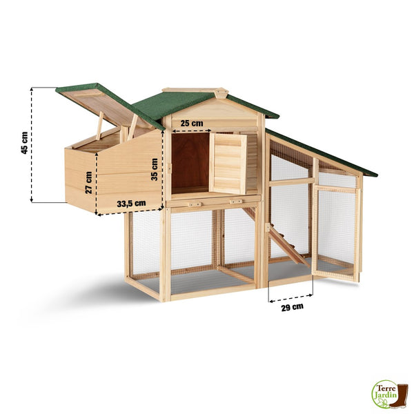 POULAILLER 2-3 POULES (3)
