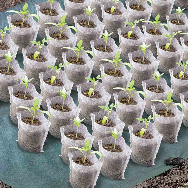 SACS À SEMIS X500 (3)