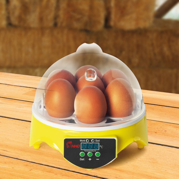 COUVEUSE MANUELLE 7 ŒUFS (4)