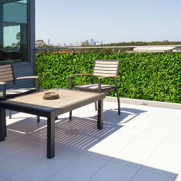 BRISE-VUE FEUILLAGE (1)