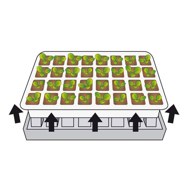 KIT DE GERMINATION 40 GODETS (4)