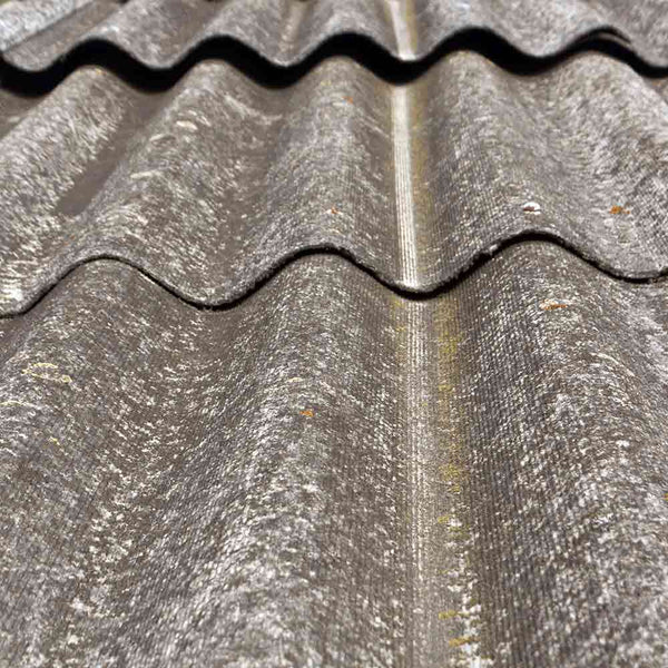 LAINE D'ACIER ANTI RONGEUR 50 CM (2)