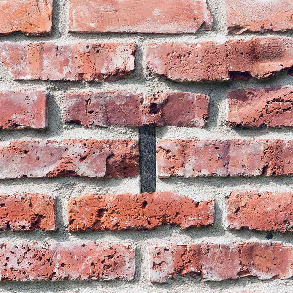 LAINE D'ACIER ANTI RONGEUR 50 CM (1)