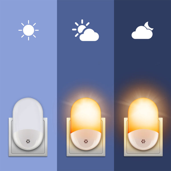 VEILLEUSE AVEC SENSOR 240V (4)