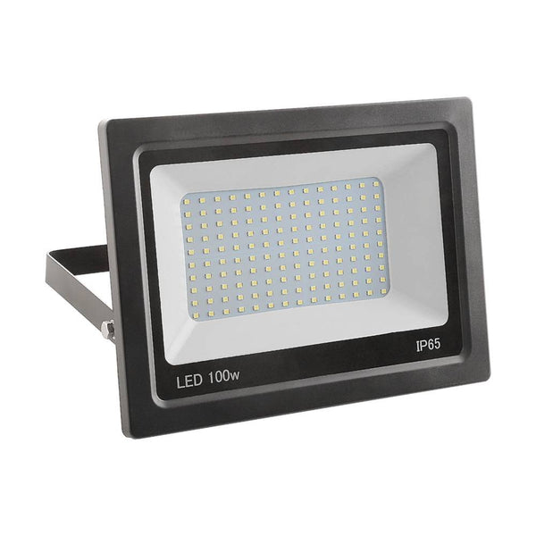 PROJECTEUR LED ÉLECTRIQUE (2)