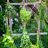 files/17435_FICELLE_EN_JUTE_NATUREL_diam3_5MM_1KG_200M_situation_web.jpg