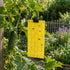files/18633_TUE_MOUCHES_PLANTES_EXTERIEURES_SITUATION_1_WEB.jpg
