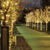 files/3254-guirlande-solaire-leds-allum_C3_A9es-situation2.jpg