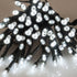 files/3254-guirlande-solaire-leds-blanches.jpg