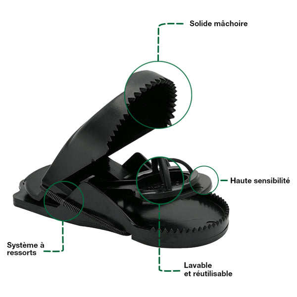TAPETTES À RATS X4 (3)