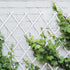 files/6664-treillis-en-plastique-pour-plantes-grimpantes-situation.jpg