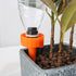 files/6670-cone-d-arrosage-situation-orange-web_7af8ca14-3fbb-446e-94da-796e80a6a7e2.jpg