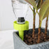 files/6670-cone-d-arrosage-situation-vert-web_e94f6c61-62ae-4cee-8cca-1d3bb6e93acb.jpg