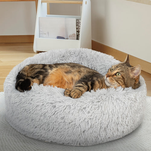 COUSSIN CHAT (1)