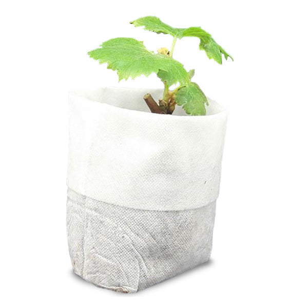 SACS À SEMIS X500 (2)