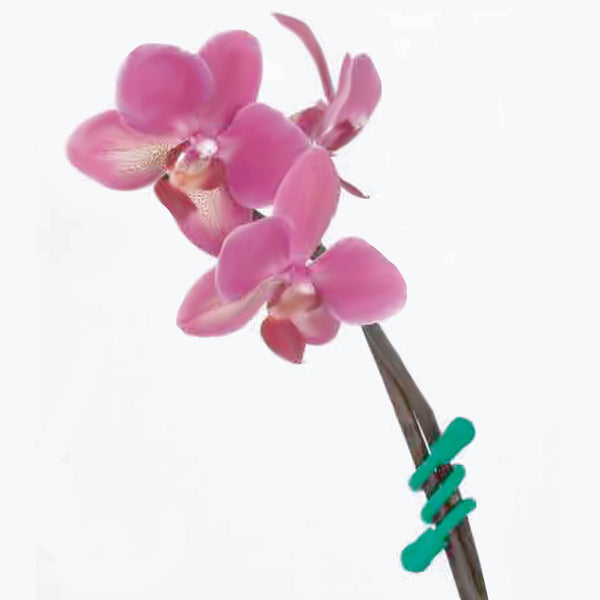 ATTACHES UNIVERSELLES ET MOUSQUETONS X10 (6)