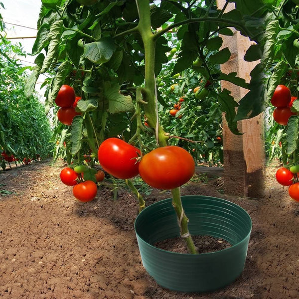 POT RÉSERVE D'EAU X5 (4)