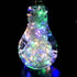 files/guirlande-lumineuse-a-led-multicolores-chap6475-web-1.jpg