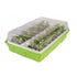 KIT DE GERMINATION 40 GODETS