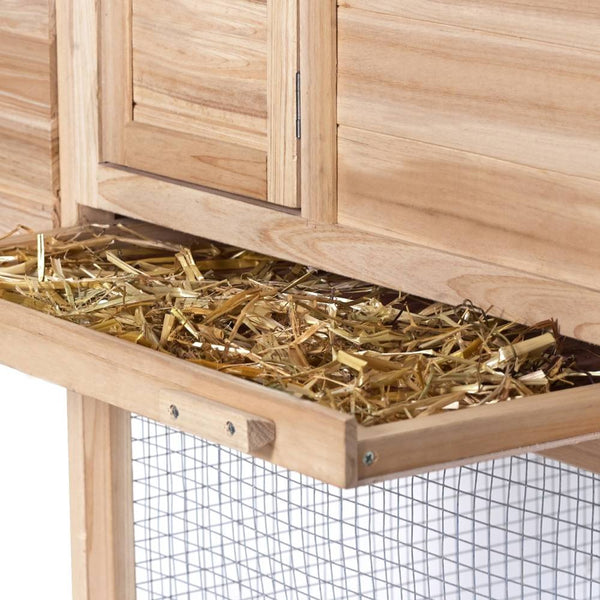 POULAILLER 2-3 POULES (6)