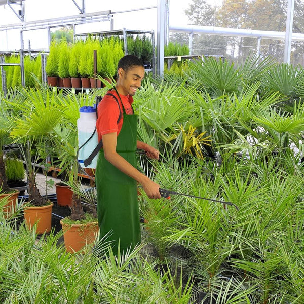 PULVÉRISATEUR À DOS 12 L (2)