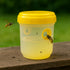files/shopix-10693_piege-insectes--situation-1.jpg