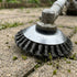 files/shopix-7241-tete-brosse-desherbage-img1.jpg