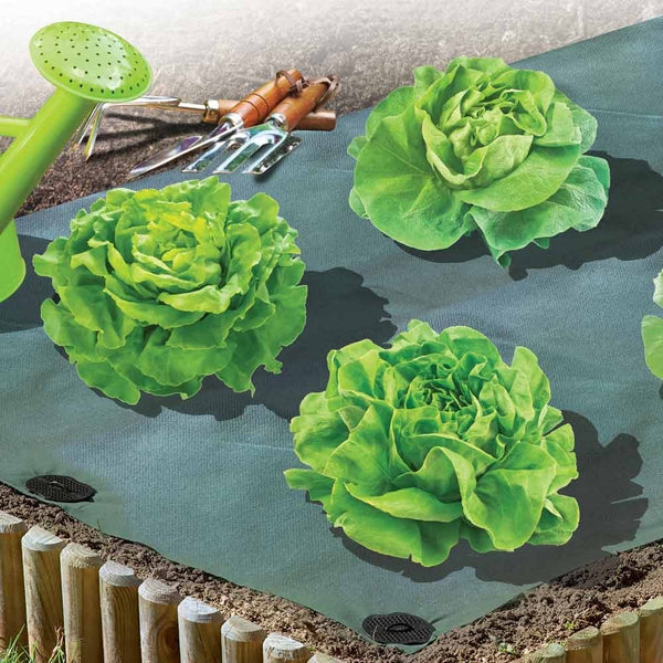 TOILE DE PAILLAGE 1 X 15 M (2)