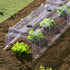 files/tunnel-de-forcage-rigide-transparent-3312-web-1_15704e13-7673-41c7-9a0b-eee68c49396a.jpg