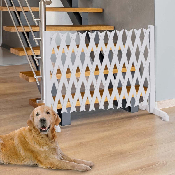 BARRIÈRE EXTENSIBLE BLANCHE PLASTIQUE (3)