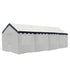 products/417920-toit-chapiteau-3x10m.png