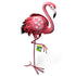 products/6549-flamand_rose_avec_etiquette_WEB.jpg