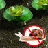 products/7240-anneaux_de_protection_escargots_limaces_x6_situation_WEB.jpg