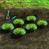 products/7240-barriere_anti_limace_situation_WEB.jpg