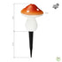 products/7253_LAMPES-SOLAIRES-CHAMPIGNONS-WEB_dimensions-logo.jpg