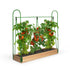 products/7288_SERRE_POTAGER_A_TOMATES_11_WEB.jpg