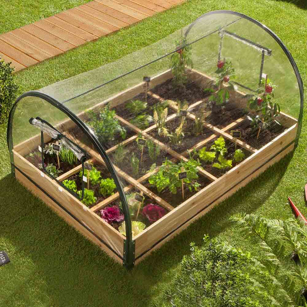 SERRE POTAGER 12 COMPARTIMENTS (3)