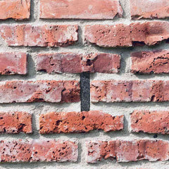 LAINE D'ACIER ANTI RONGEUR 50 CM (1)