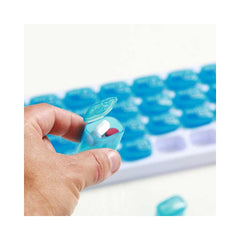 PILLULIER 31 JOURS (1)